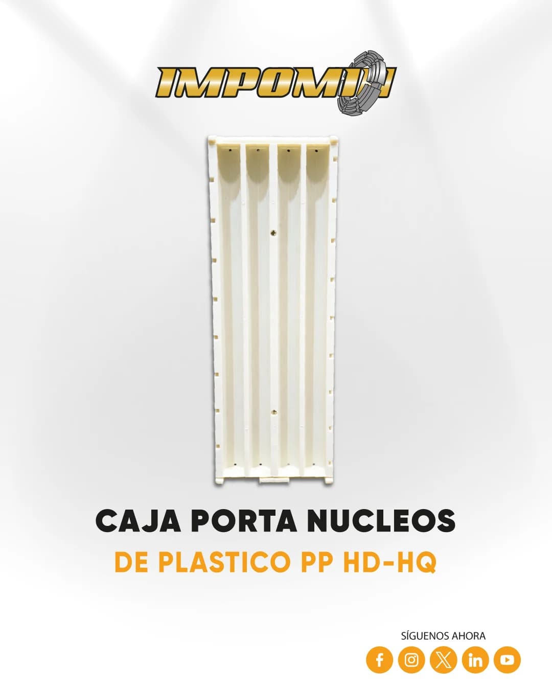 CAJA-PORTA-NUCLEOS-DE-PLASTICO-PP-HD-HQ — IMPOMIN